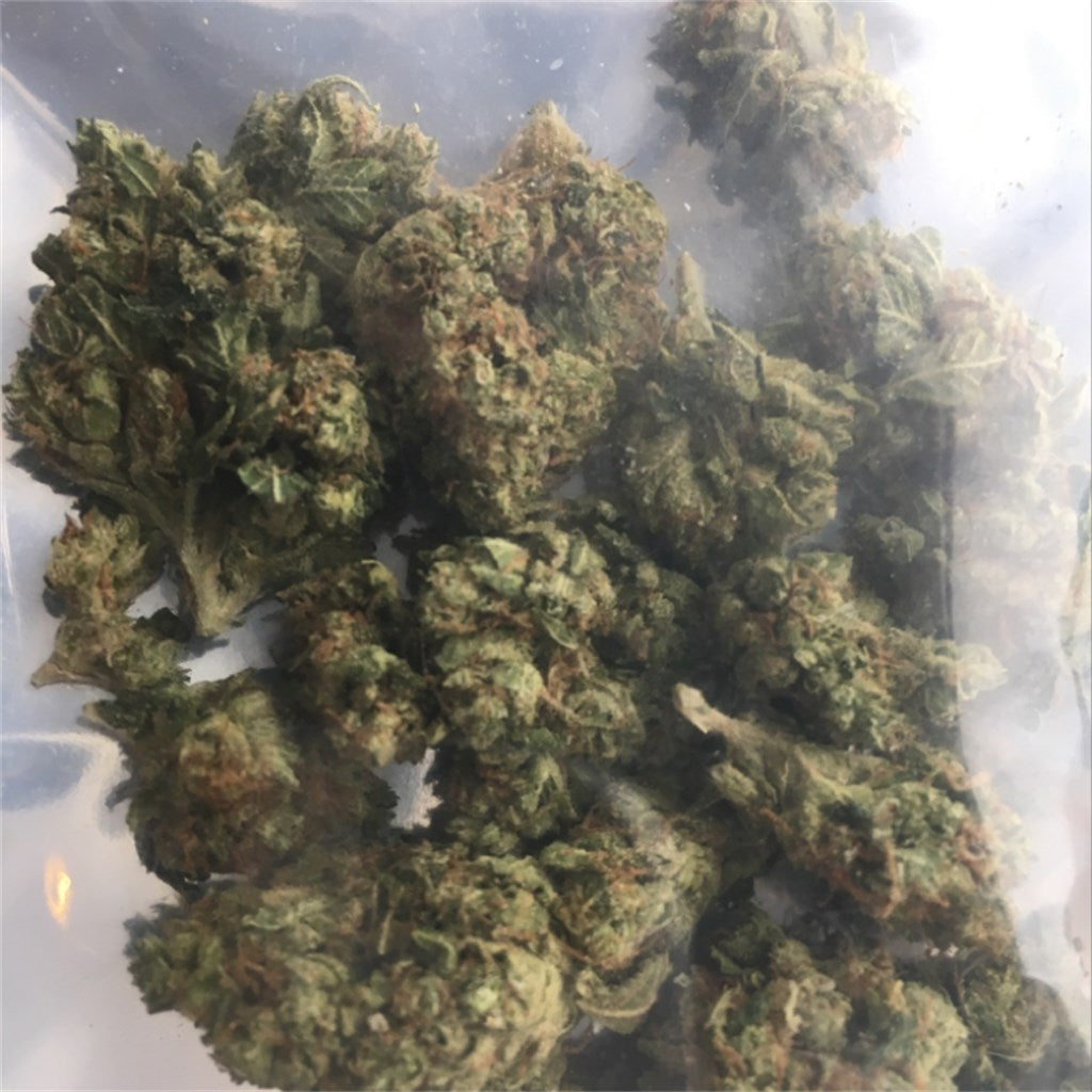 Tidal Wave marijuana strain flower and energetic / creative effects - Rare Harvest hybrid