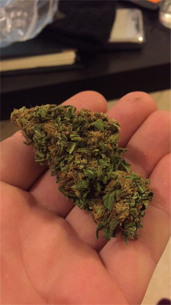 The Doctor marijuana strain flower with skunk and mint flavor and giggly / sleepy effects - Rare Harvest indica