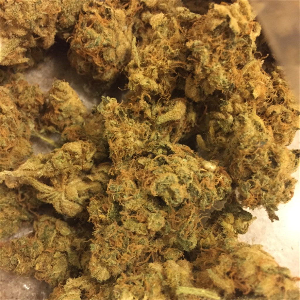 The Flav marijuana strain flower with sage and grapefruit flavor and euphoric / uplifted effects - Rare Harvest hybrid