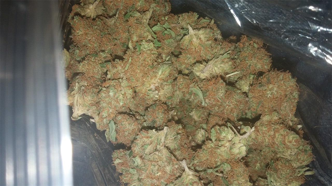 The Grunk marijuana strain flower with grape and skunk flavor and euphoric / uplifted effects - Rare Harvest hybrid