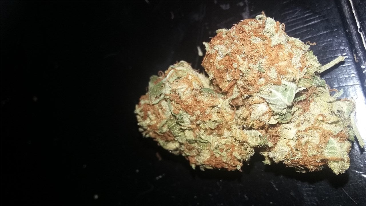 The Hog marijuana strain flower with tobacco and earthy flavor and sleepy / relaxed effects - Rare Harvest indica