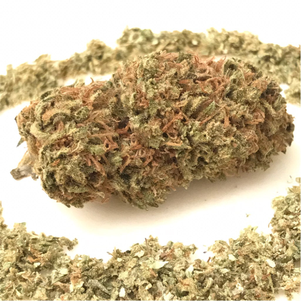 The One marijuana strain flower with pungent and pine flavor and creative / relaxed effects - Rare Harvest hybrid
