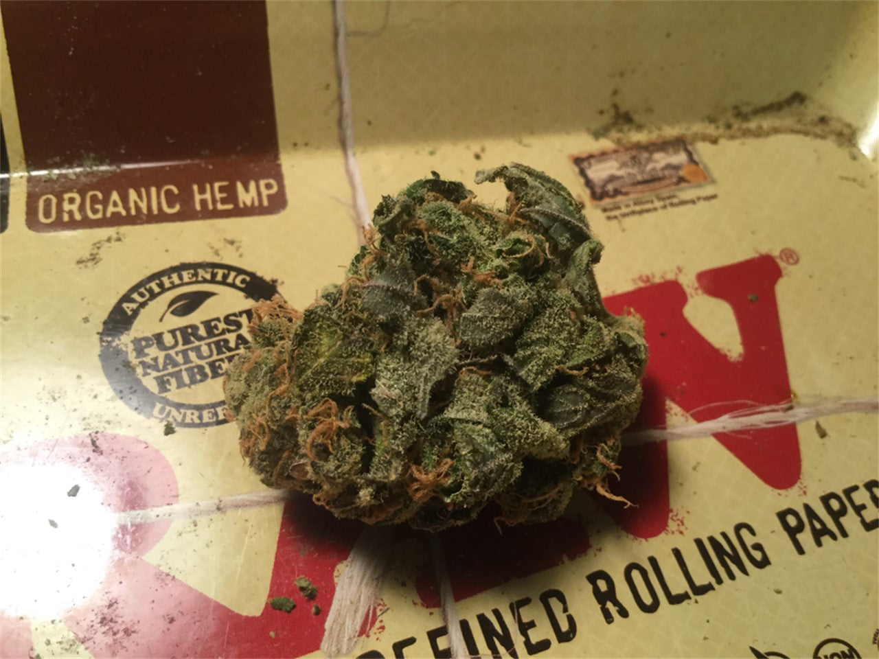 The Ooze marijuana strain flower with apple and sweet flavor and creative / focused effects - Rare Harvest indica