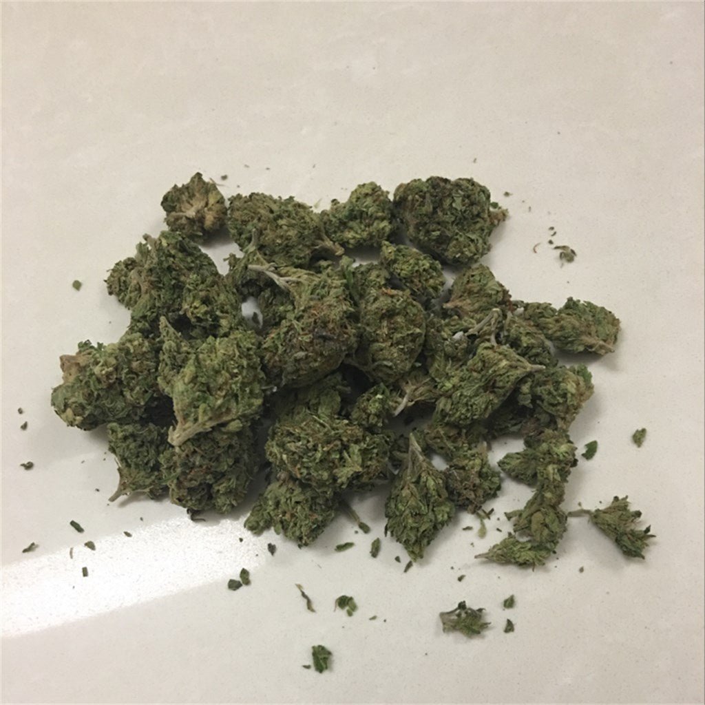 The Truth marijuana strain flower with woody and earthy flavor and relaxed / talkative effects - Rare Harvest hybrid