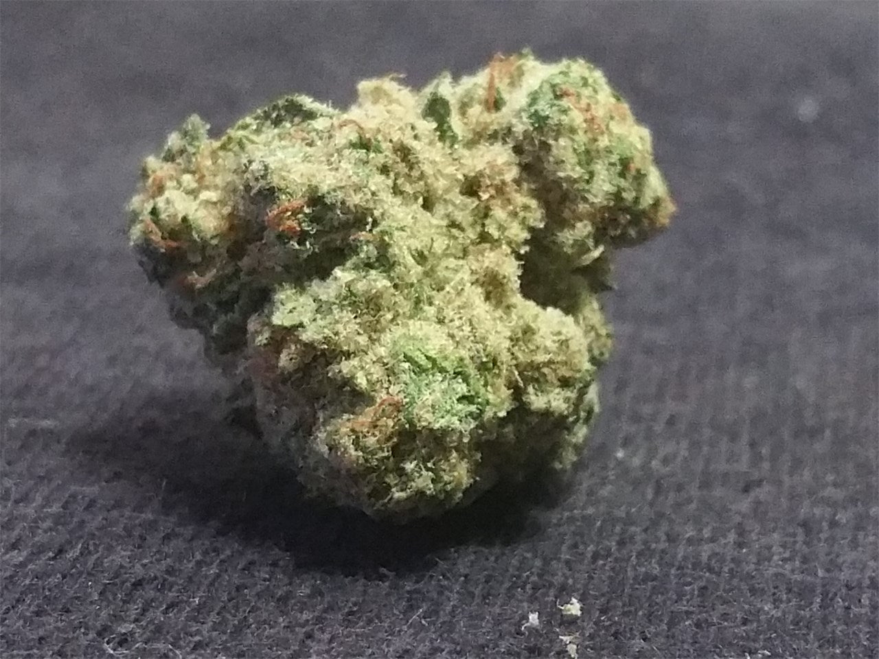 The White marijuana strain flower with pine and earthy flavor and relaxed / sleepy effects - Rare Harvest hybrid