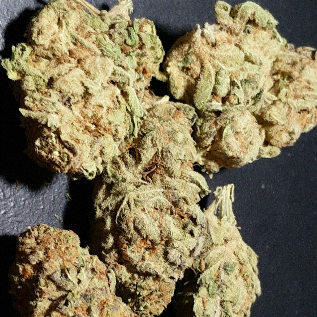 Thelonious Skunk marijuana strain flower with skunk and citrus flavor and aroused / euphoric effects - Rare Harvest hybrid