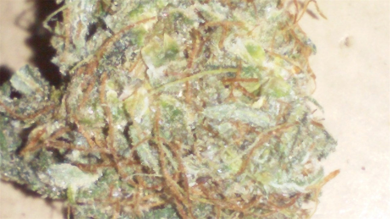 Timewreck marijuana strain flower with lime and tobacco flavor and energetic / talkative effects - Rare Harvest sativa