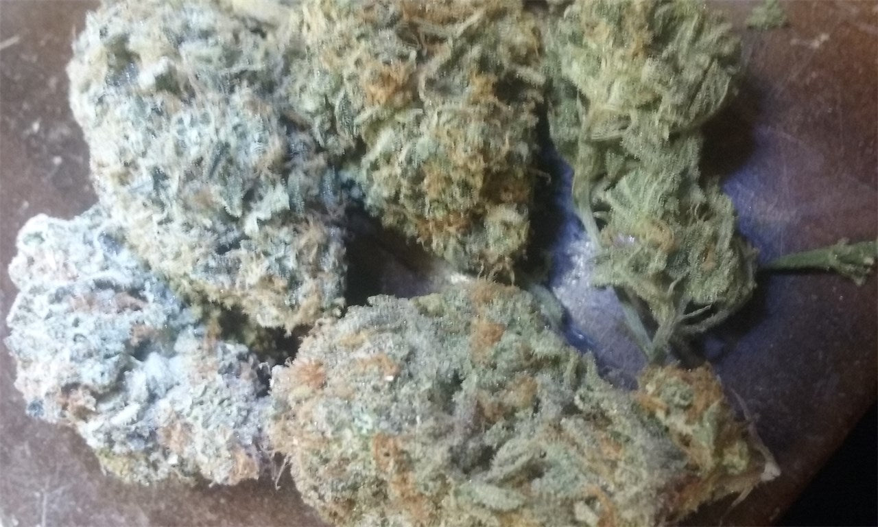 Tokyo OG marijuana strain flower with pine and lemon flavor and euphoric / relaxed effects - Rare Harvest hybrid