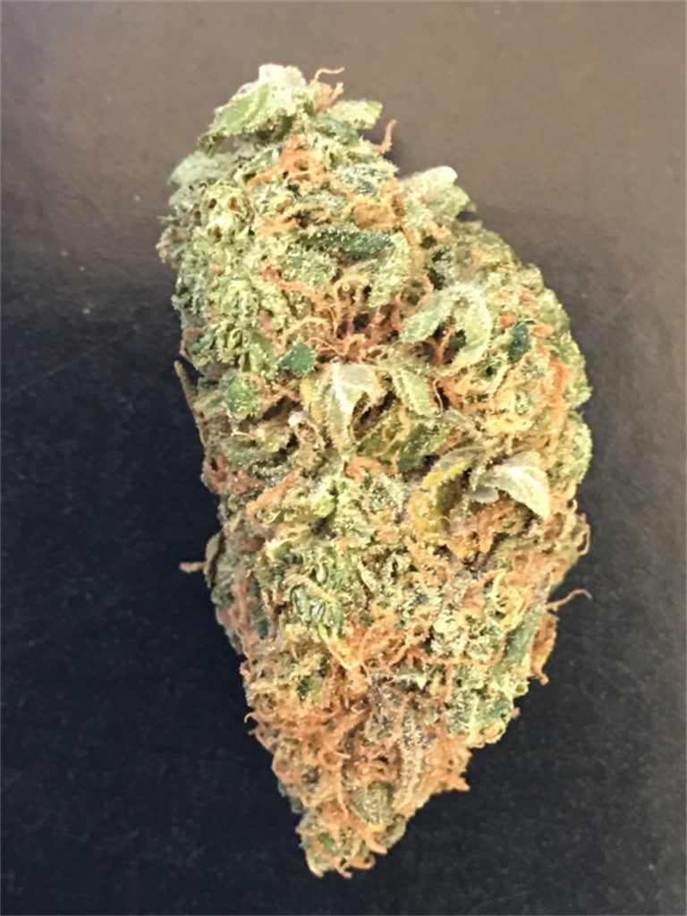 Tommy's Home Grown marijuana strain flower with earthy and tropical flavor and energetic / creative effects - Rare Harvest hybrid
