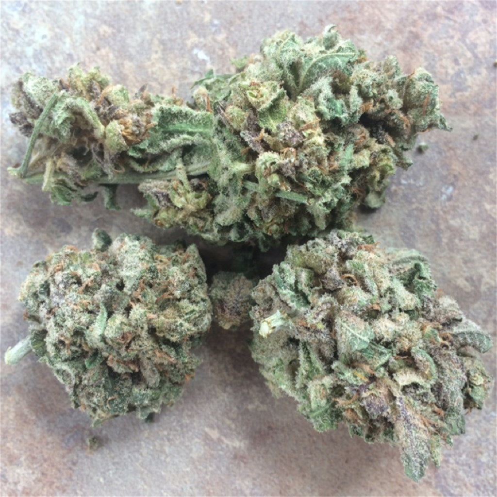 Tora Bora marijuana strain flower with spicy/herbal and earthy flavor and relaxed / sleepy effects - Rare Harvest indica