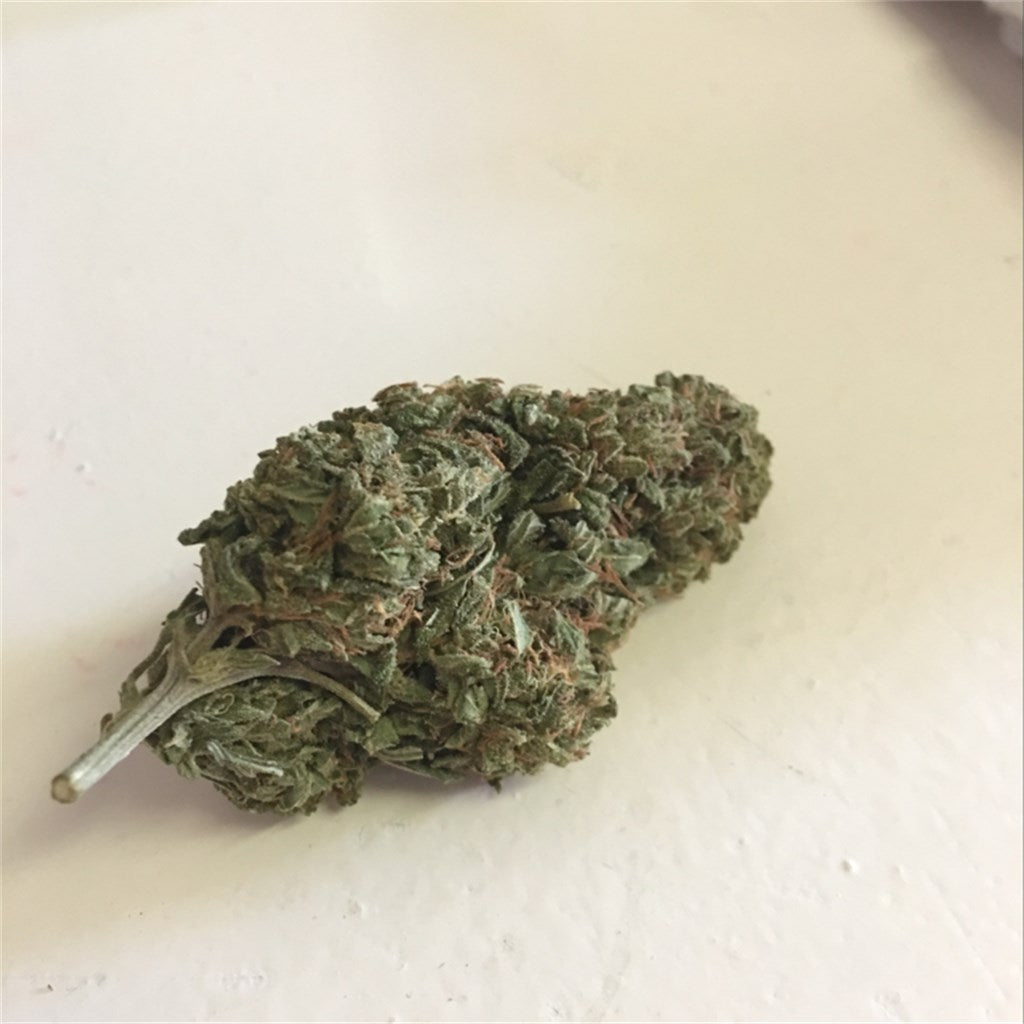 Toxic Punch marijuana strain flower with berry and tree fruit flavor and energetic / hungry effects - Rare Harvest hybrid