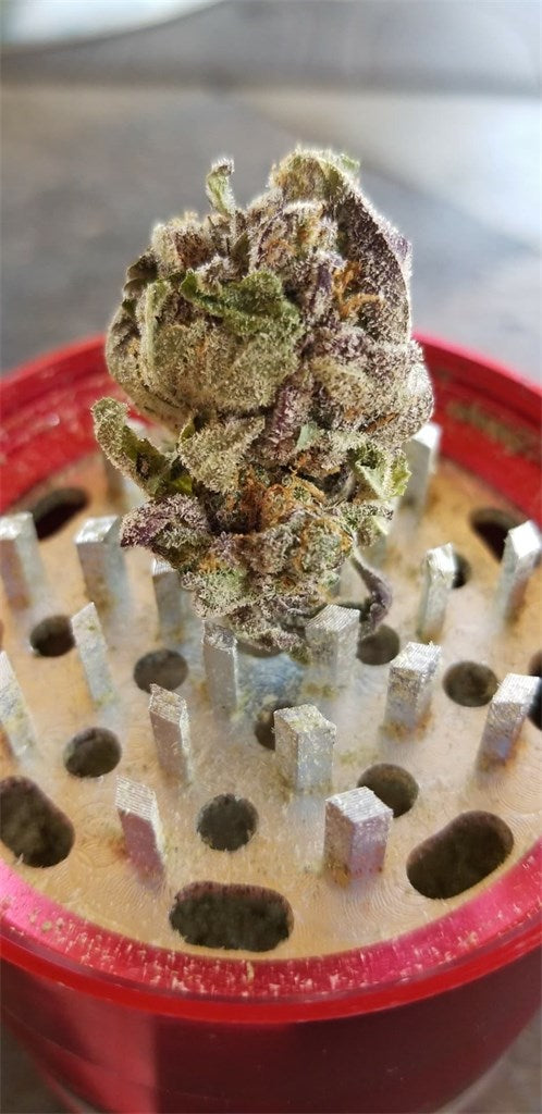 Tranquil Elephantizer: Remix marijuana strain flower with pepper and berry flavor and sleepy / relaxed effects - Rare Harvest indica