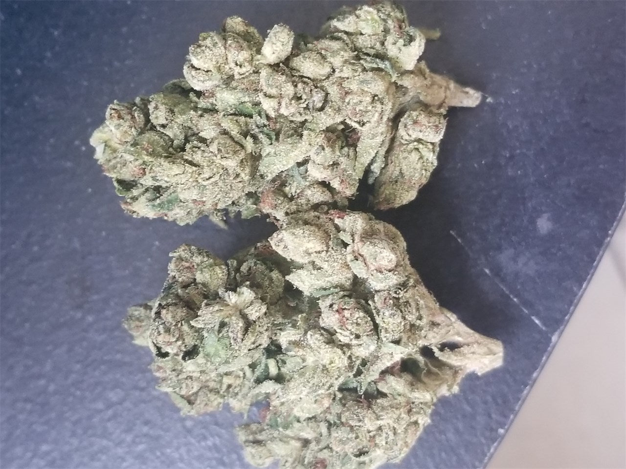 Transformer marijuana strain flower and energetic / creative effects - Rare Harvest hybrid