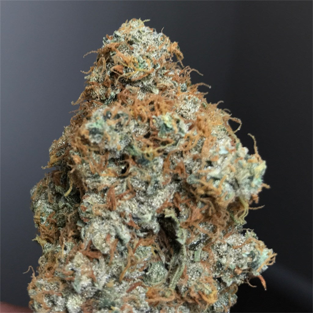 Triple Cheese marijuana strain flower with cheese and blue cheese flavor and relaxed / euphoric effects - Rare Harvest indica