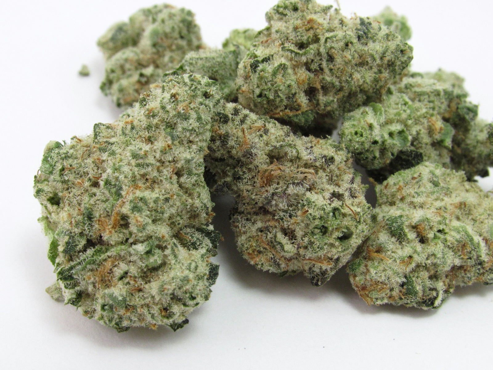 Mango Fruz marijuana strain flower with cheese and chemical flavor and energetic / creative effects - Rare Harvest hybrid