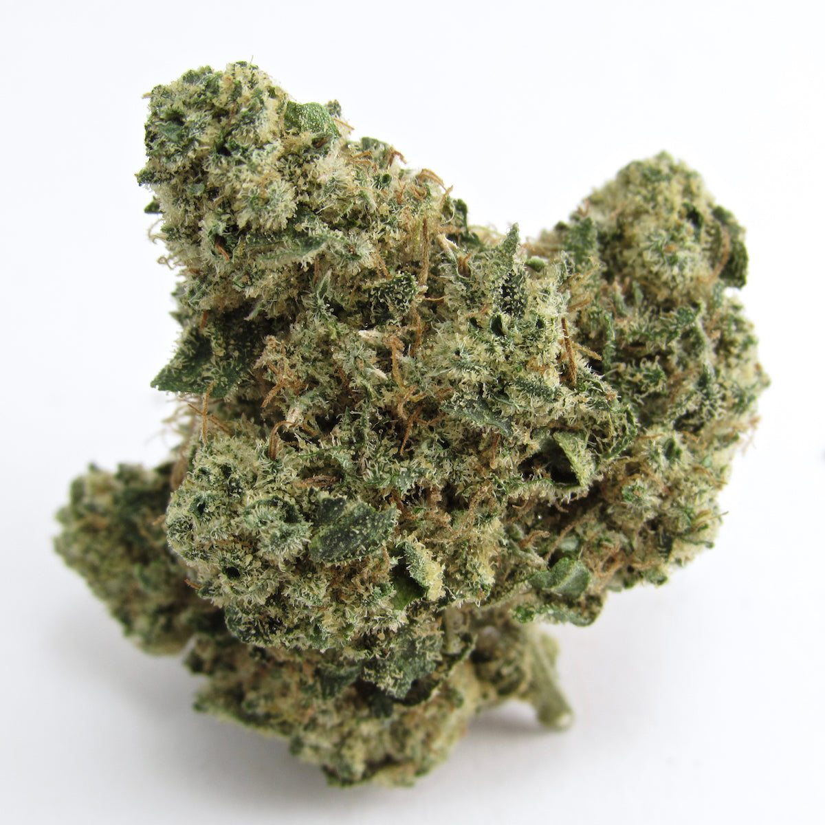 Slapz marijuana strain flower with ammonia and chemical flavor and aroused / relaxed effects - Rare Harvest hybrid