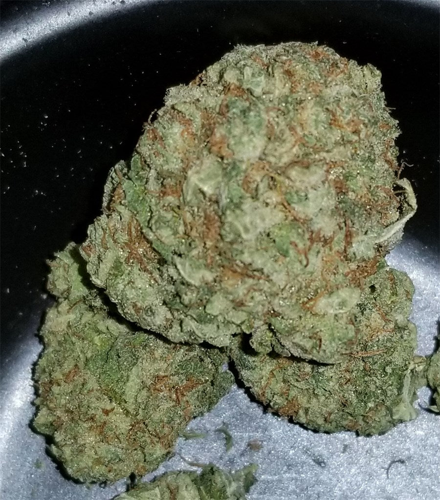 Tuna Kush marijuana strain flower with skunk and pungent flavor and sleepy / relaxed effects - Rare Harvest indica