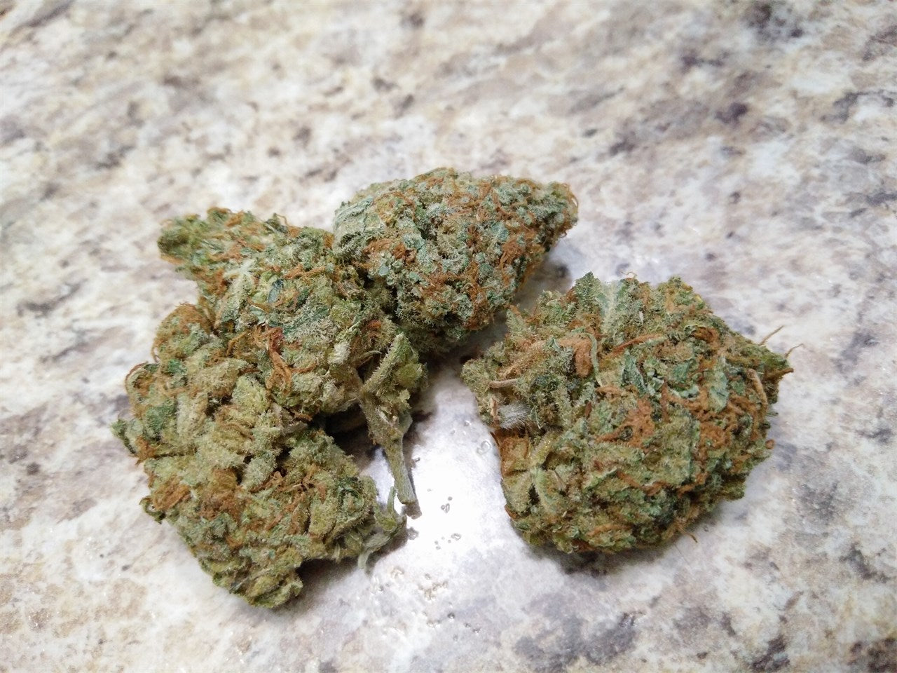 Twisted Citrus marijuana strain flower with citrus and orange flavor and energetic / uplifted effects - Rare Harvest sativa