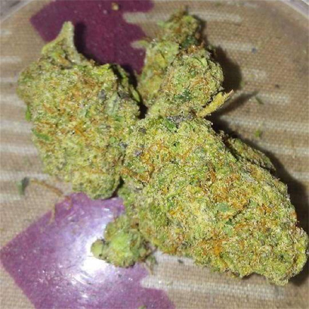 U2 Kush marijuana strain flower with lavender and woody flavor and sleepy / hungry effects - Rare Harvest indica
