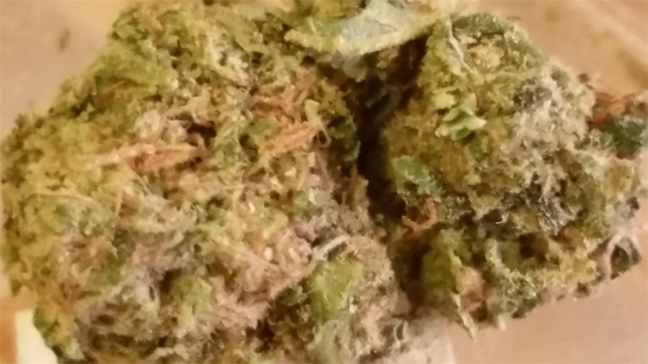 UK Cheese marijuana strain flower with cheese and skunk flavor and hungry / happy effects - Rare Harvest hybrid