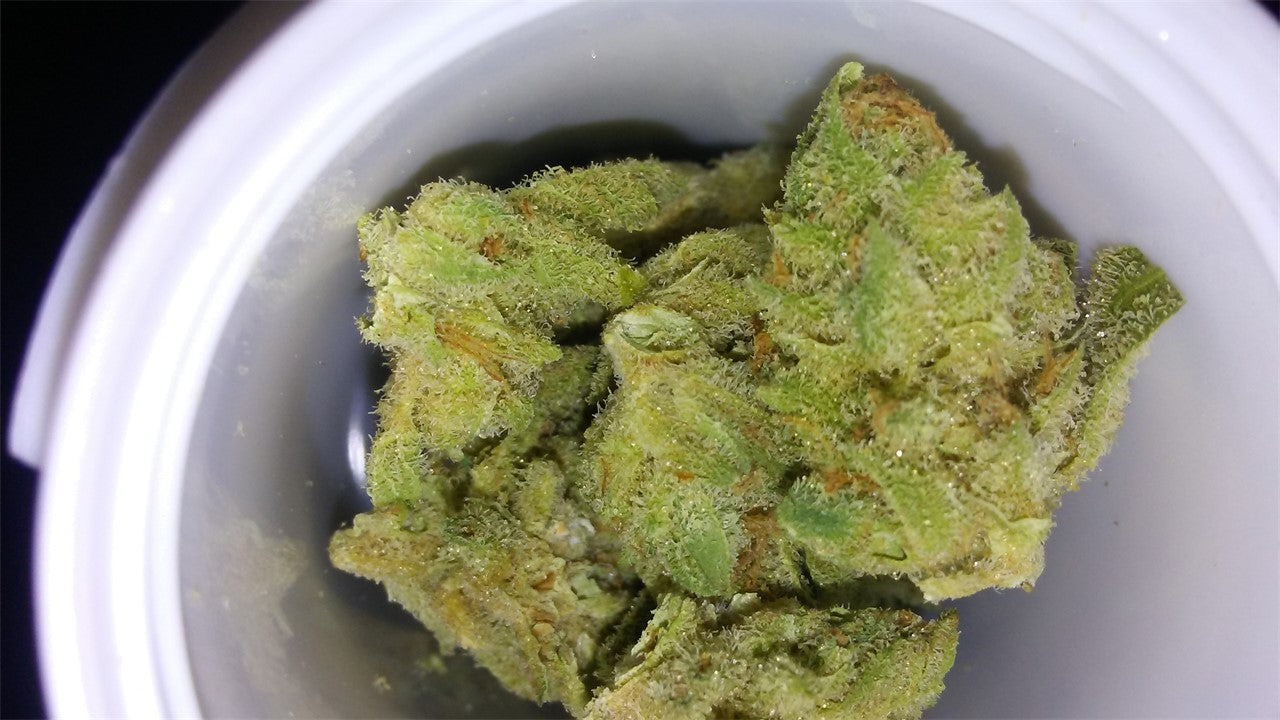 Ultra Sonja marijuana strain flower with tree fruit and cheese flavor and energetic / focused effects - Rare Harvest hybrid