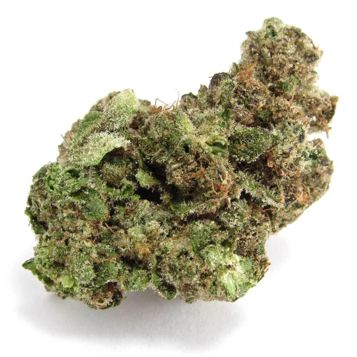 Babby Powder marijuana strain flower with pungent and mint flavor and energetic / hungry effects - Rare Harvest hybrid