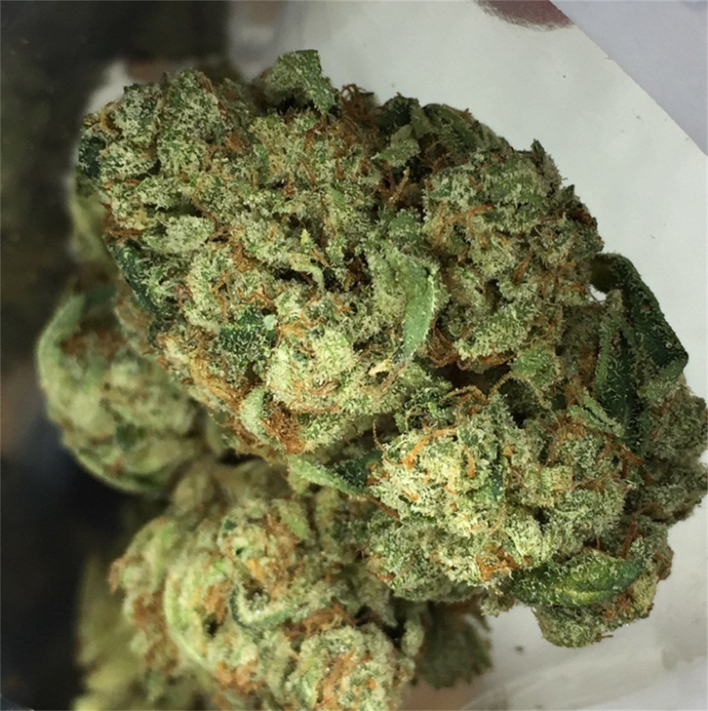 Valley Girl marijuana strain flower with pine and sweet flavor and happy / creative effects - Rare Harvest hybrid
