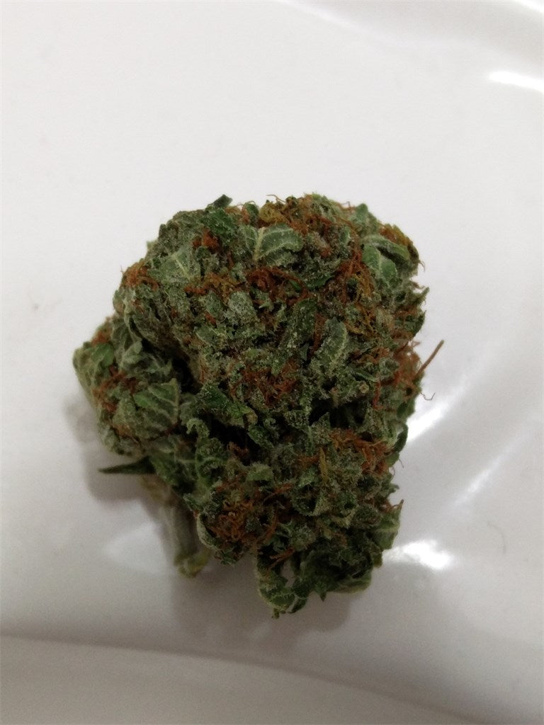 Velvet Bud marijuana strain flower with blueberry and sweet flavor and energetic / talkative effects - Rare Harvest sativa