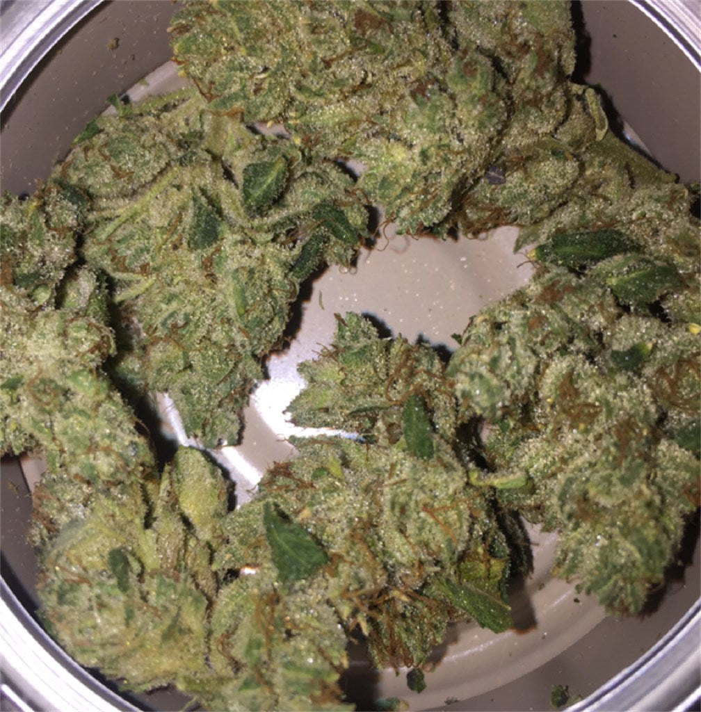 Venom OG marijuana strain flower with pine and earthy flavor and sleepy / relaxed effects - Rare Harvest hybrid