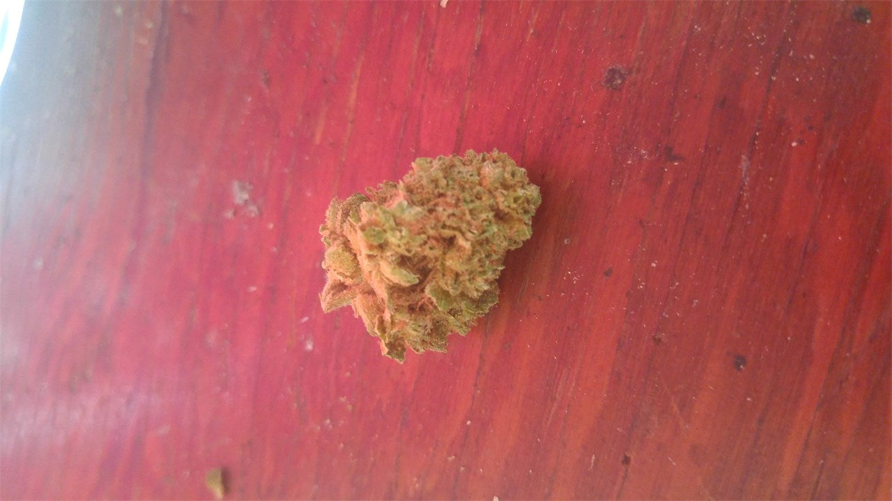 Verde Electric marijuana strain flower with diesel and earthy flavor and creative / happy effects - Rare Harvest hybrid
