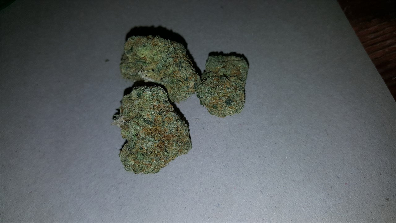 Versace marijuana strain flower with flowery and diesel flavor and focused / relaxed effects - Rare Harvest hybrid