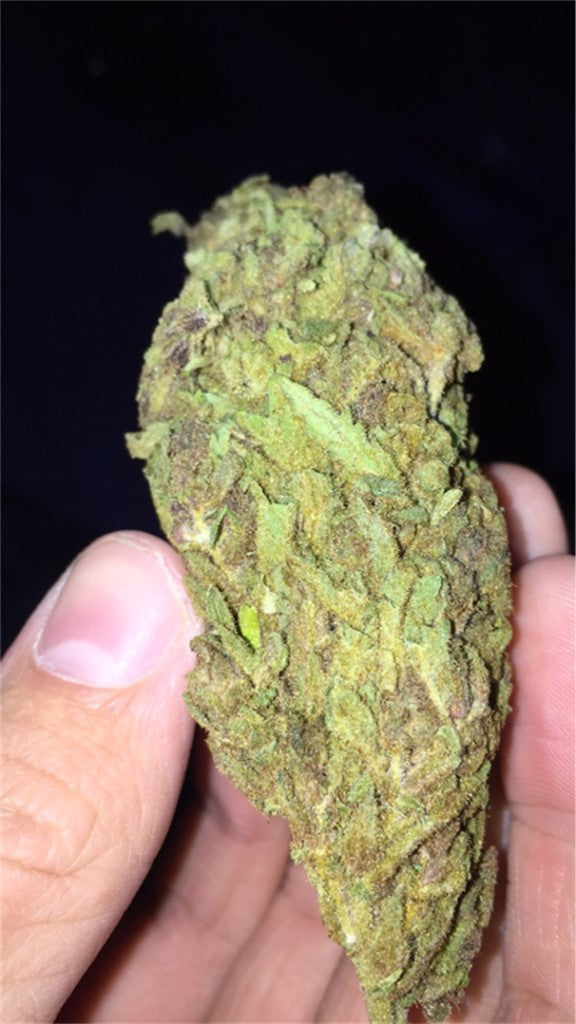 Very Berry Haze marijuana strain flower with berry and sweet flavor and focused / energetic effects - Rare Harvest sativa