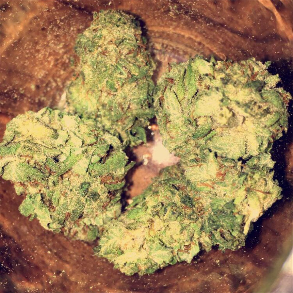 Viper marijuana strain flower with mint and citrus flavor and energetic / talkative effects - Rare Harvest sativa