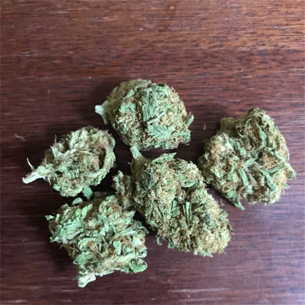 Voodoo marijuana strain flower with nutty and pepper flavor and focused / energetic effects - Rare Harvest sativa