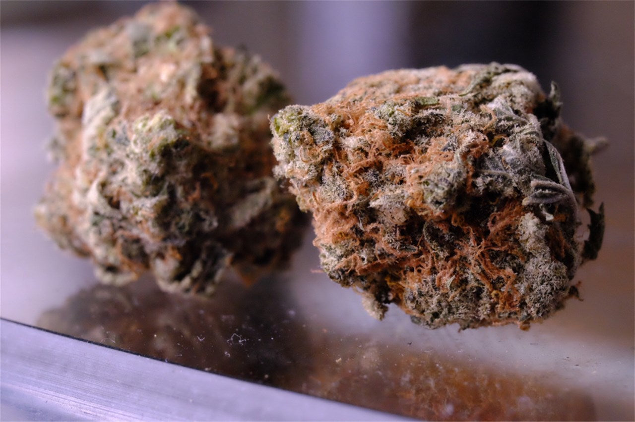 Vortex marijuana strain flower with citrus and lemon flavor and energetic / uplifted effects - Rare Harvest sativa