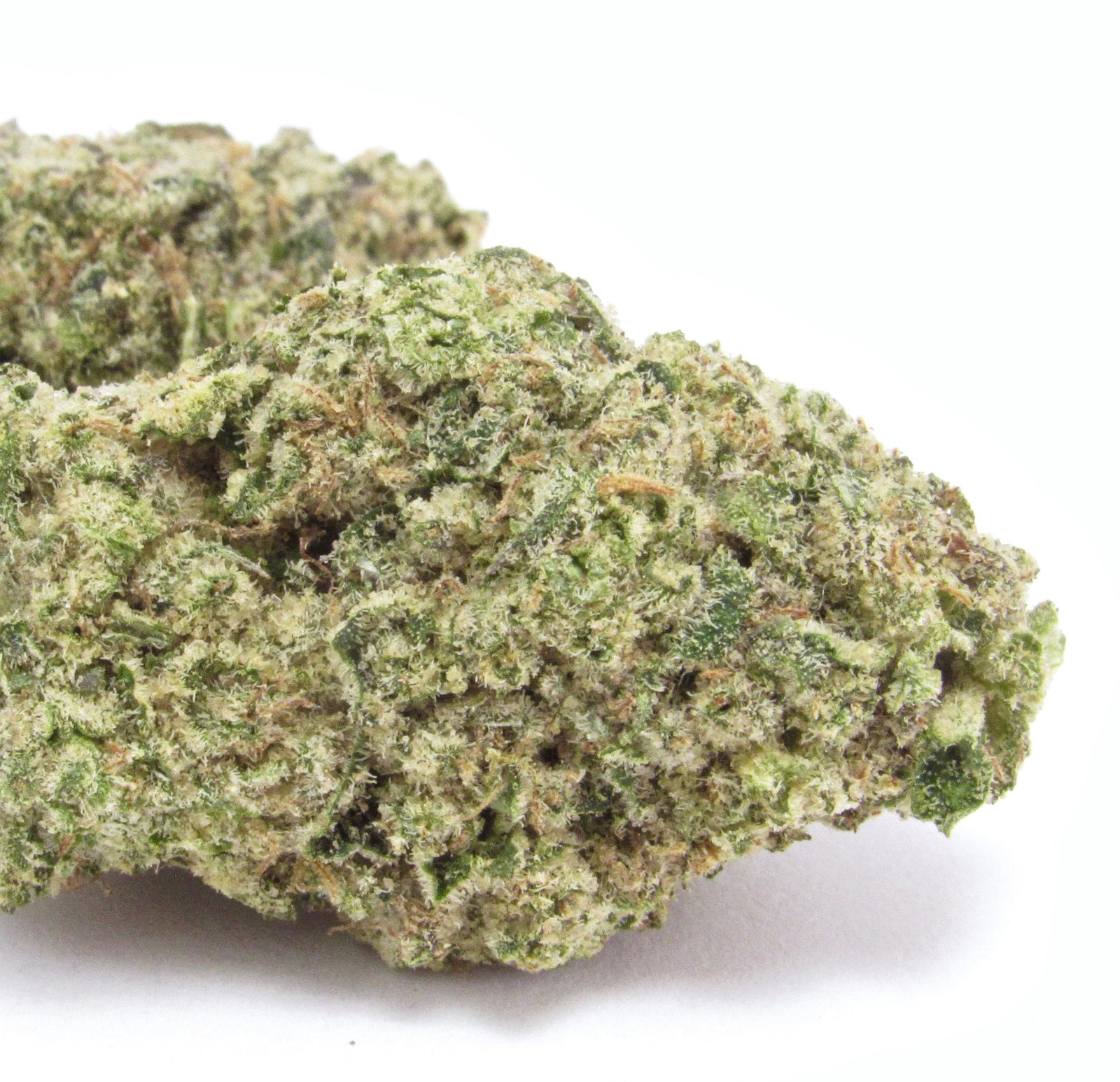 Animal Face marijuana strain flower with menthol and mint flavor and relaxed / tingly effects - Rare Harvest hybrid