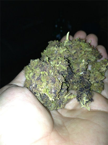 Waldo marijuana strain flower with pungent and earthy flavor and creative / uplifted effects - Rare Harvest hybrid