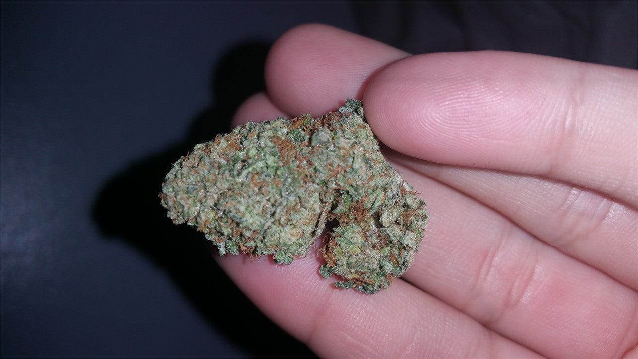 Wally OG marijuana strain flower with diesel and butter flavor and creative / happy effects - Rare Harvest hybrid