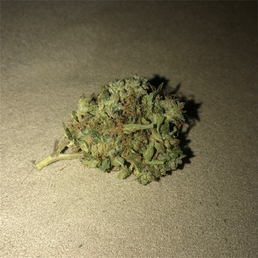 Warlock marijuana strain flower with tobacco and tea flavor and relaxed / focused effects - Rare Harvest hybrid