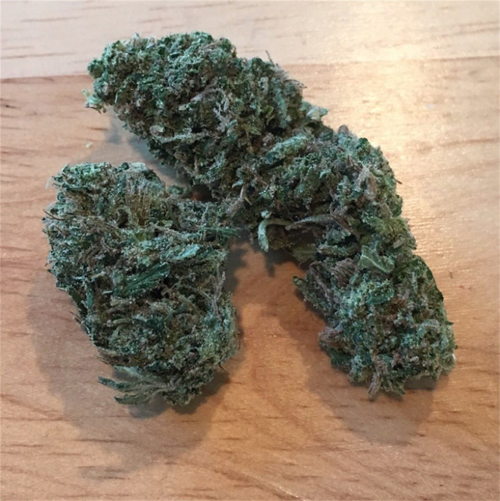Webster marijuana strain flower with pineapple and citrus flavor and energetic / uplifted effects - Rare Harvest sativa