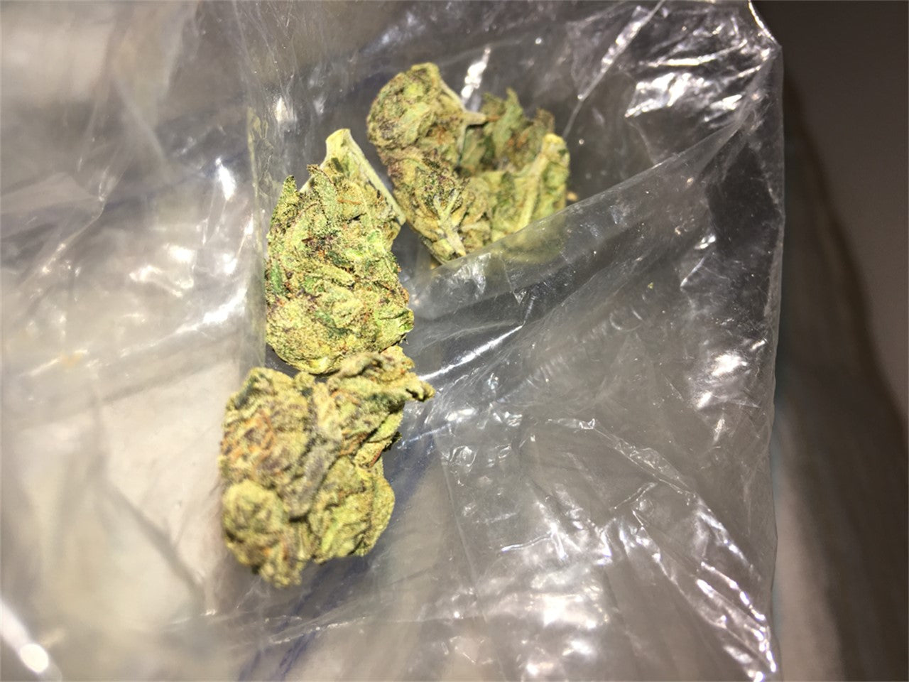 West OG marijuana strain flower with woody and lemon flavor and creative / energetic effects - Rare Harvest indica