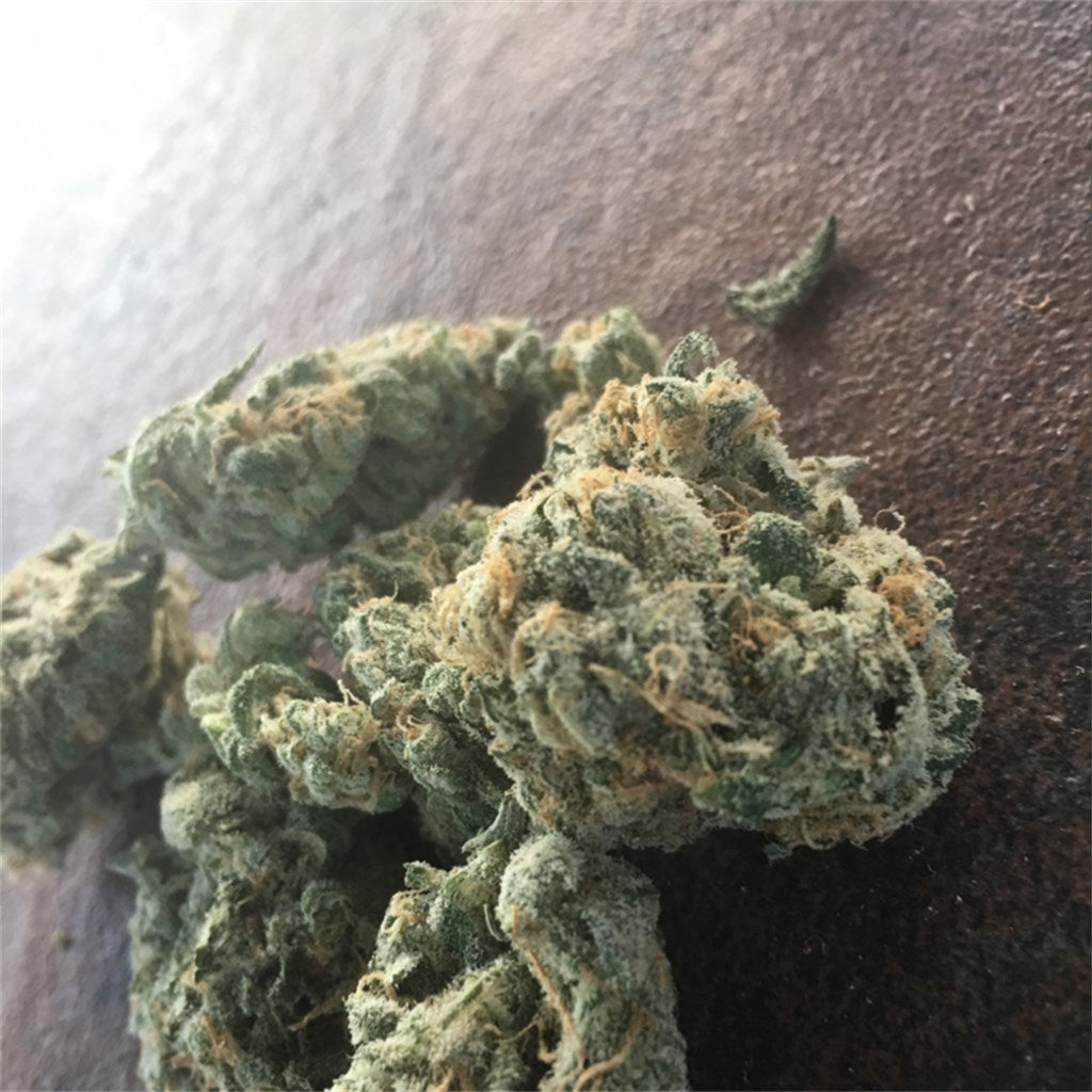 Wet Dream marijuana strain flower with sage and woody flavor and energetic / creative effects - Rare Harvest sativa
