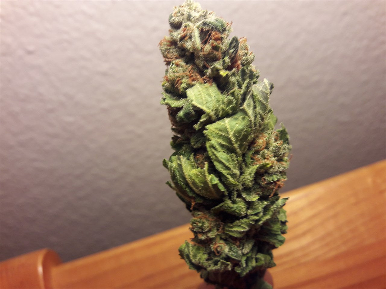White Caramel Cookie marijuana strain flower with grape and berry flavor and euphoric / talkative effects - Rare Harvest indica