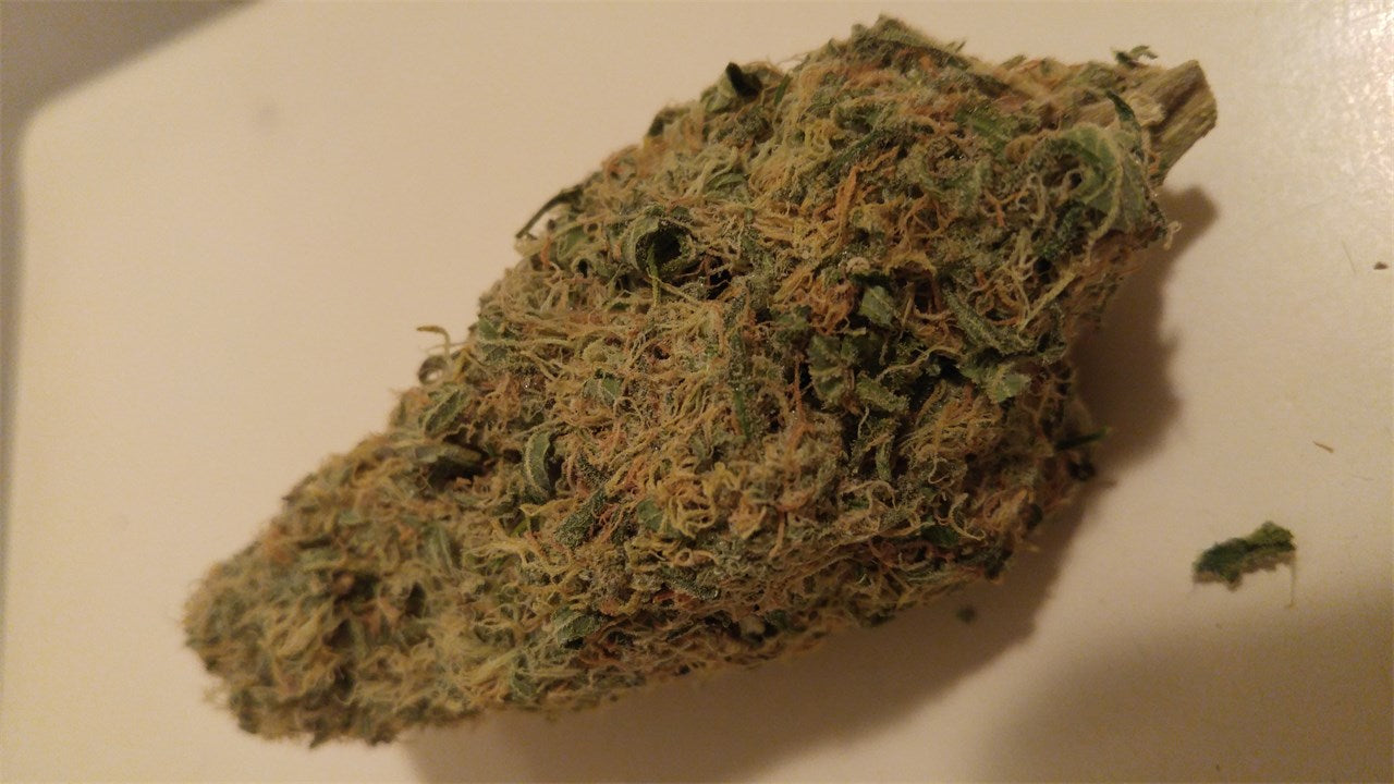 White Cheese marijuana strain flower with cheese and pungent flavor and relaxed / euphoric effects - Rare Harvest hybrid