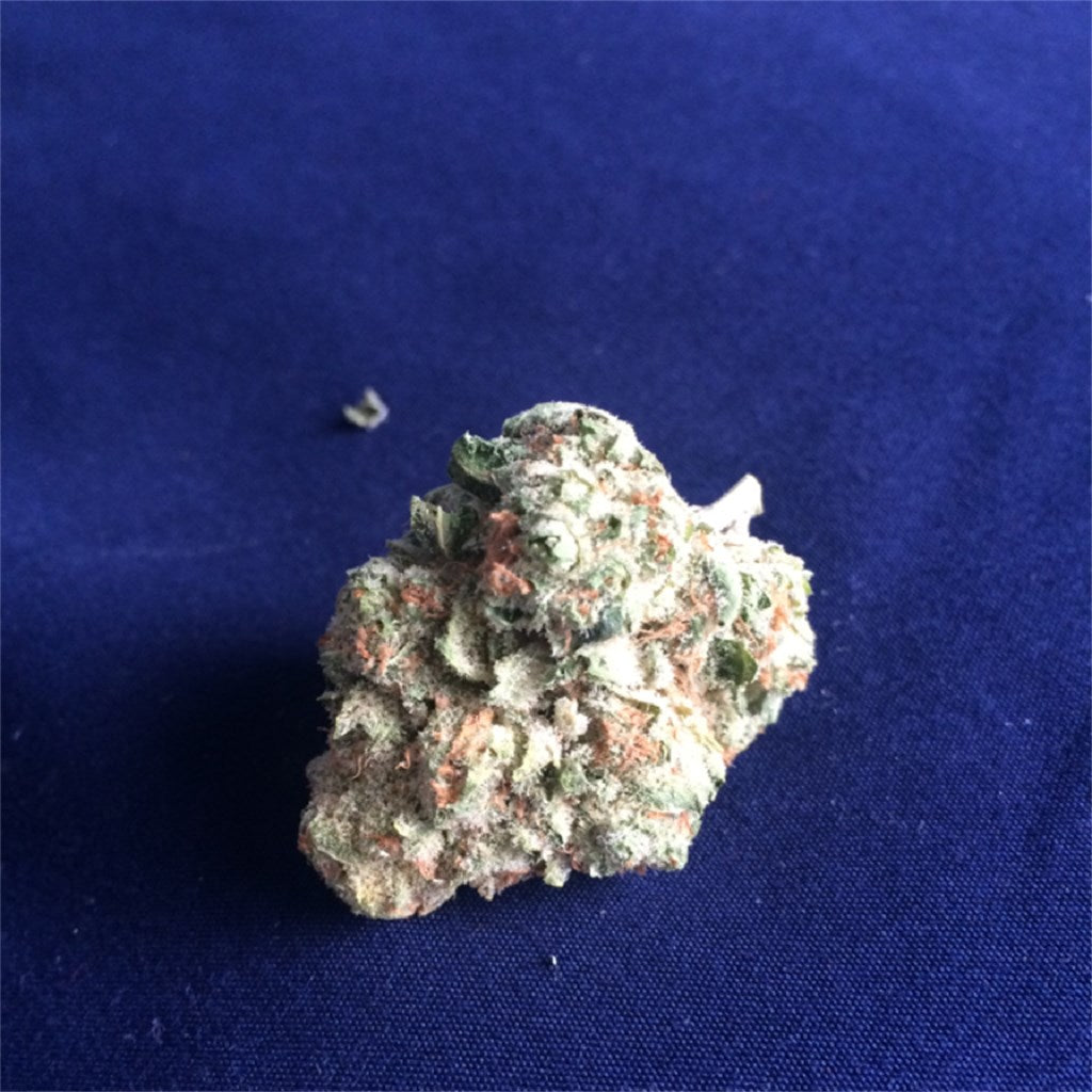 White Dawg marijuana strain flower with chemical and woody flavor and talkative / creative effects - Rare Harvest hybrid