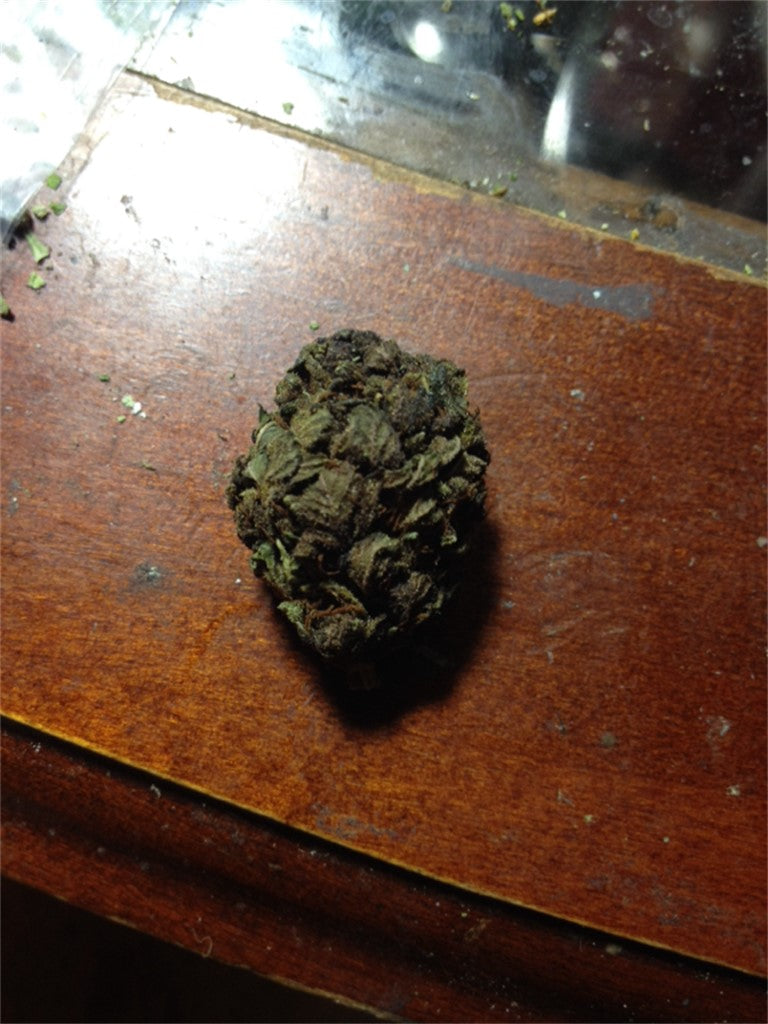 White Dragon marijuana strain flower with woody and blueberry flavor and tingly / hungry effects - Rare Harvest indica