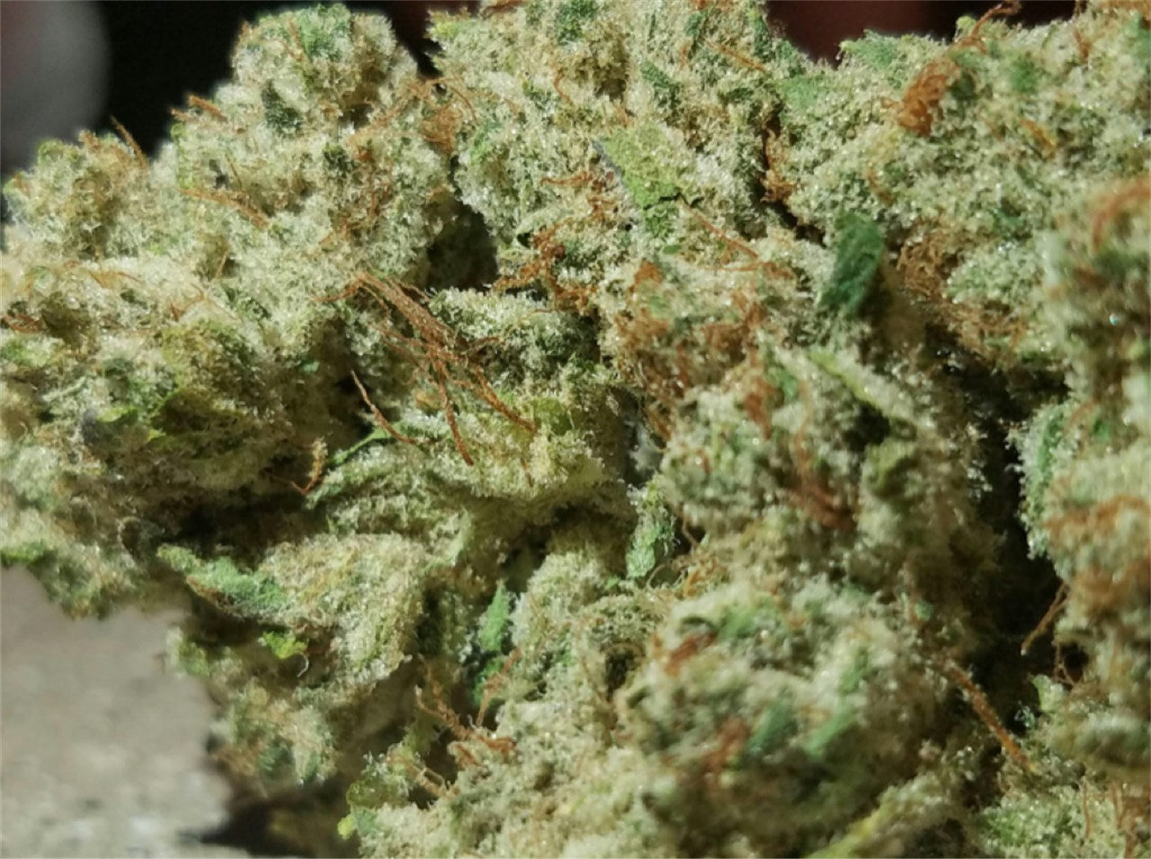 Wifi 43 marijuana strain flower with menthol and diesel flavor and sleepy / relaxed effects - Rare Harvest indica