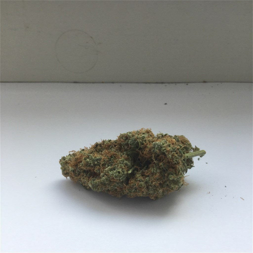 White Kush marijuana strain flower with nutty and pungent flavor and sleepy / hungry effects - Rare Harvest indica