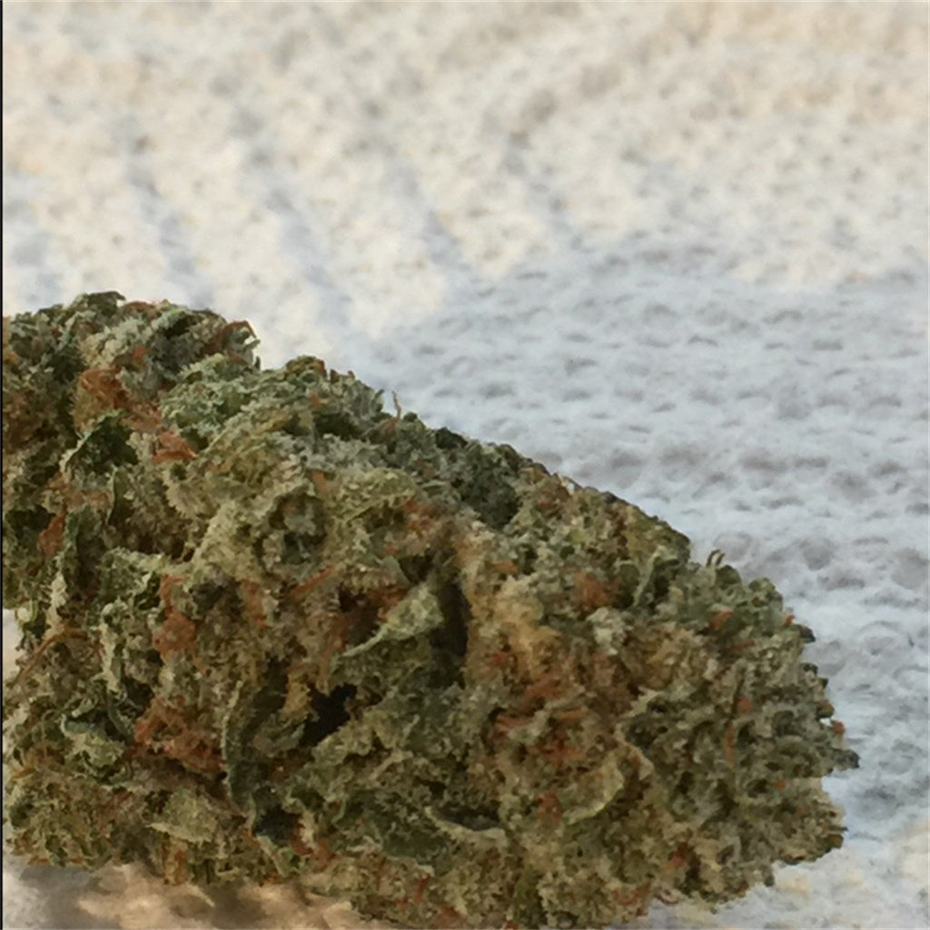 White Lightning marijuana strain flower with flowery and sweet flavor and relaxed / happy effects - Rare Harvest hybrid