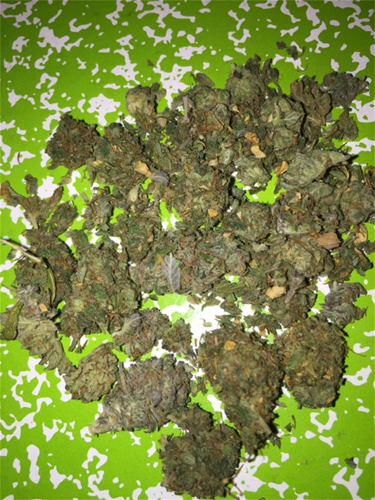 White Skunk marijuana strain flower with skunk and citrus flavor and happy / euphoric effects - Rare Harvest hybrid